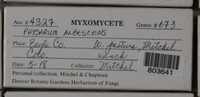 Image Associated With the Occurence